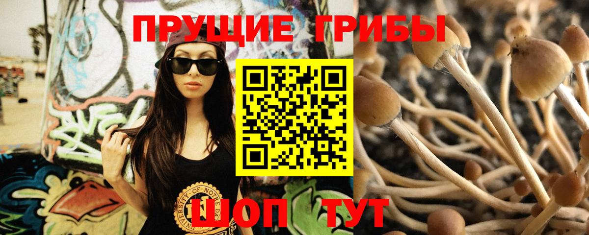 Котельники  Галлюциногенные грибы ЛСД  Вход с VPN 